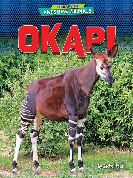 Title details for Okapi by Rachel Rose - Available